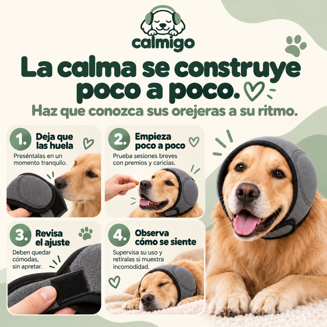 Orejeras antirruido para perros | Calmigo